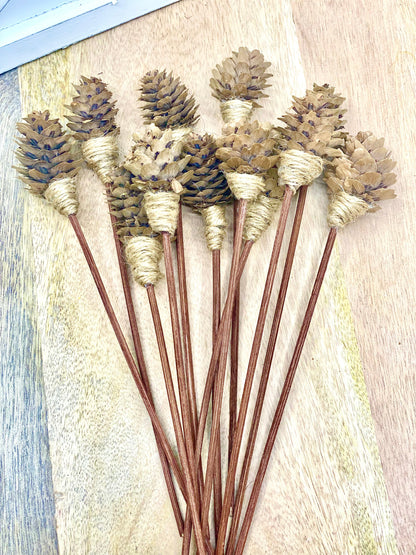 Mini Pine Cone, 9” Rattan Wood Reed Diffusers Replacement Sticks, 16 Pk